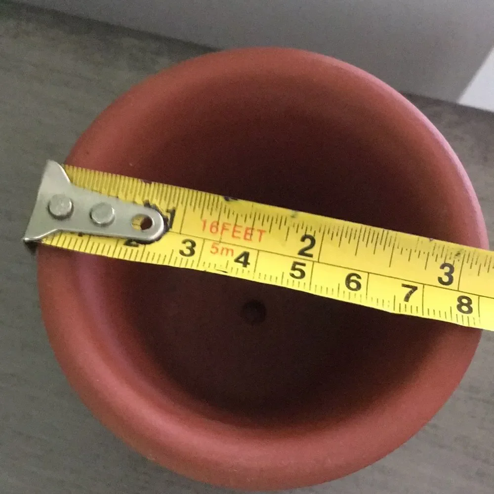 Emerson Creek pottery tiny small China flower pot